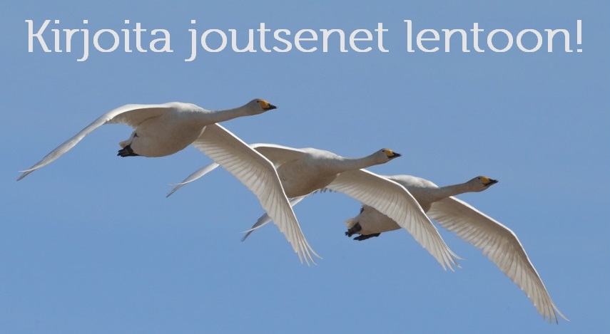 Kirjoita joutsenet lentoon