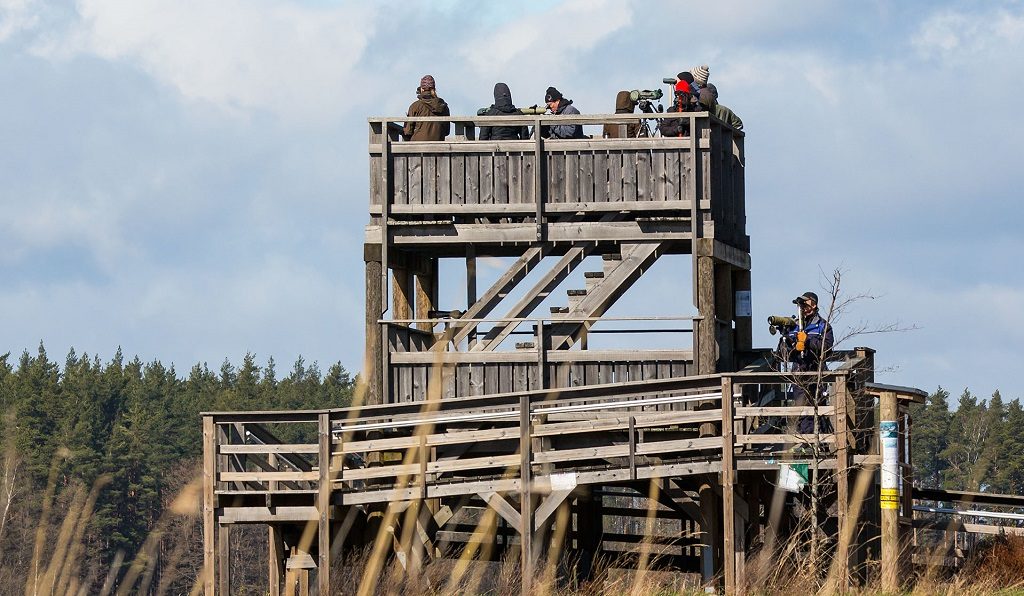 Tornien taisto 9.5.2015. hamina. Lupinlahti. Kuva: Jari Kostet