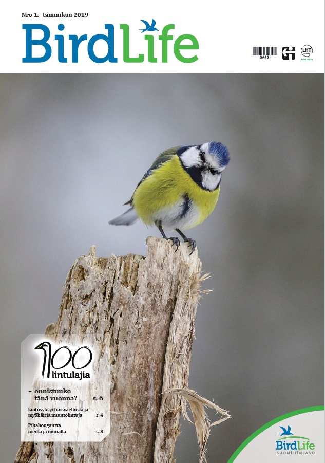 BirdLife-lehti 1/2019 kansi