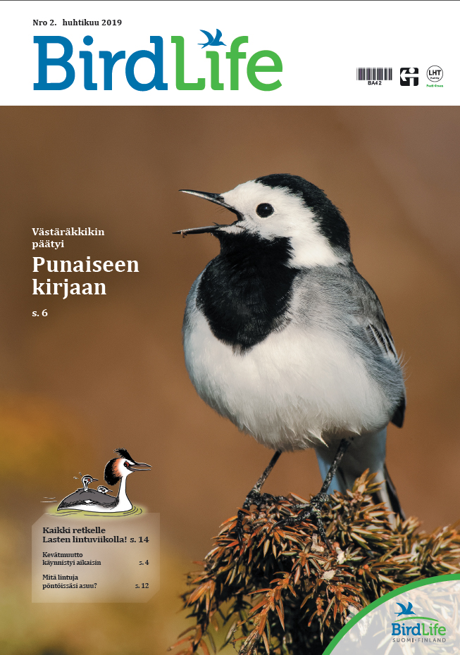 BirdLife-lehti 2/2019 kansi