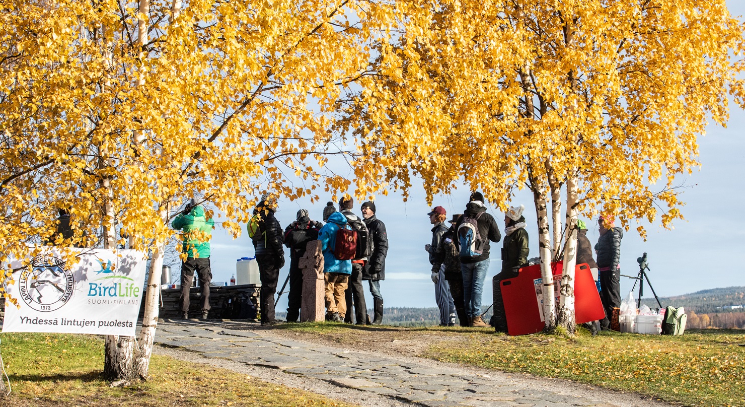 EuroBirdwatch-tapahtuma Rovaniemellä 5.10.2019. Kuva: Esko NEvala