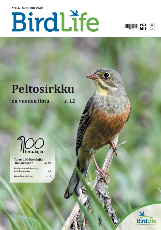 BirdLife-lehti 2/2020 kansi