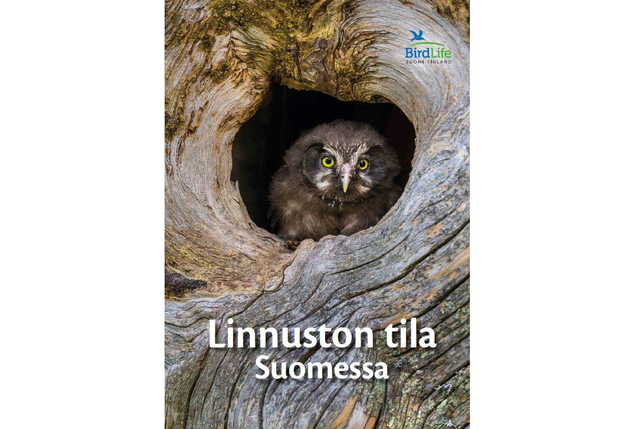 Linnuston tila Suomessa