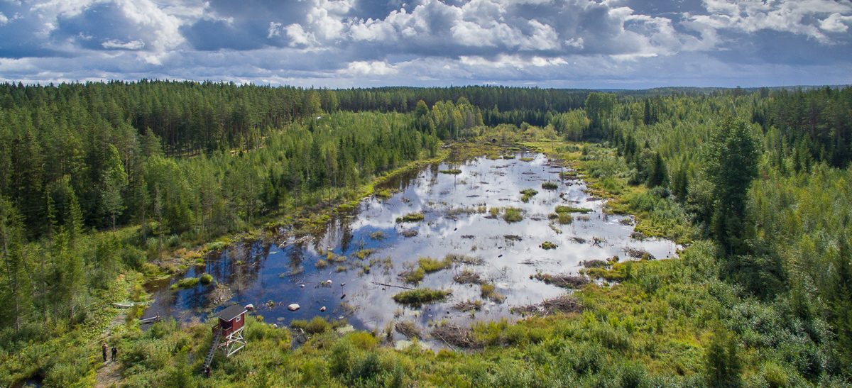 Häiriövapaa levähdysalue Savitaipaleella. Kuva: Heikki Helle