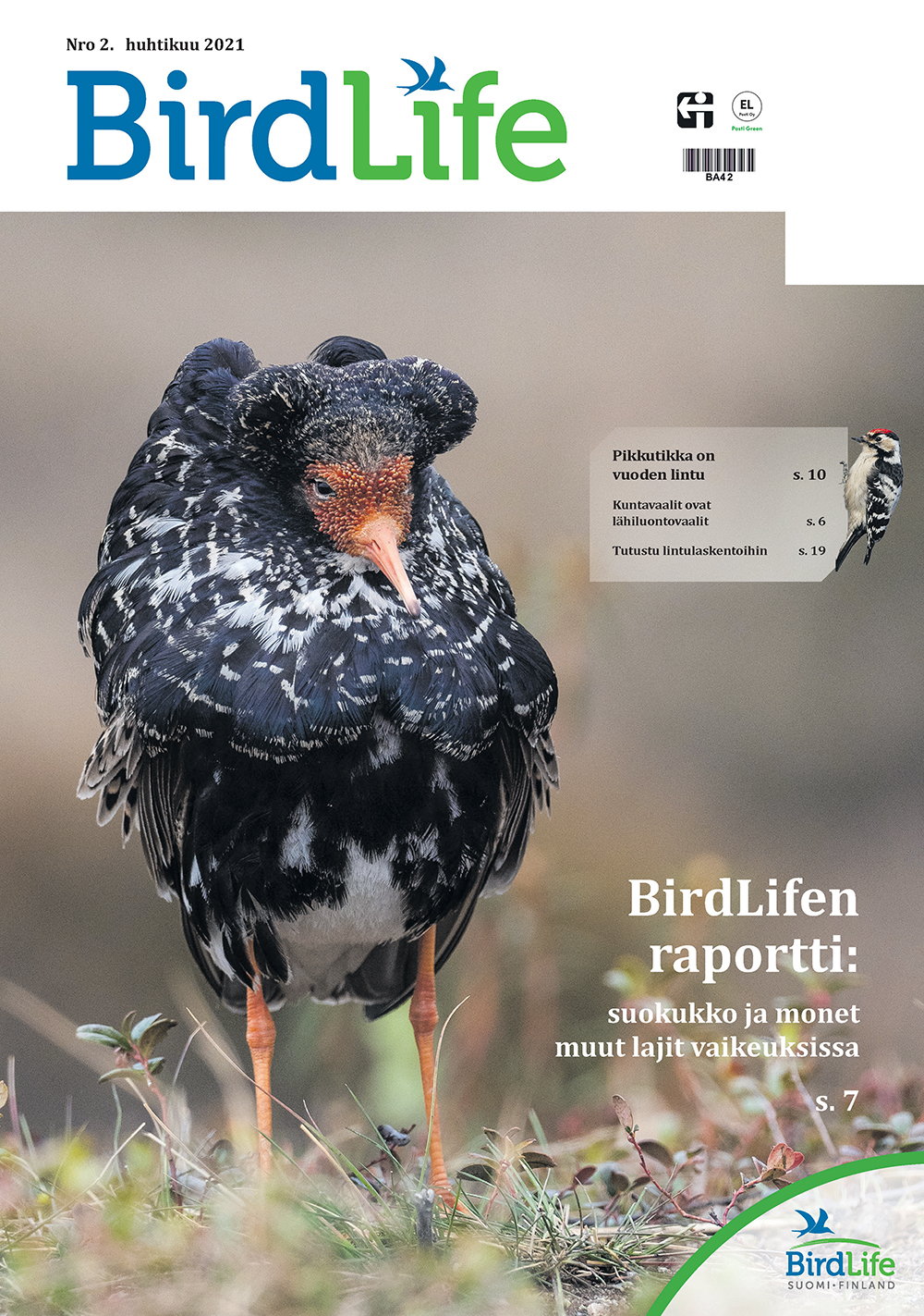 BirdLife-lehti 2/2021 kansi