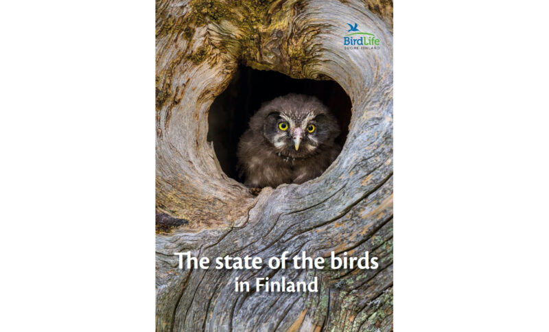 The state of the birds in Finland