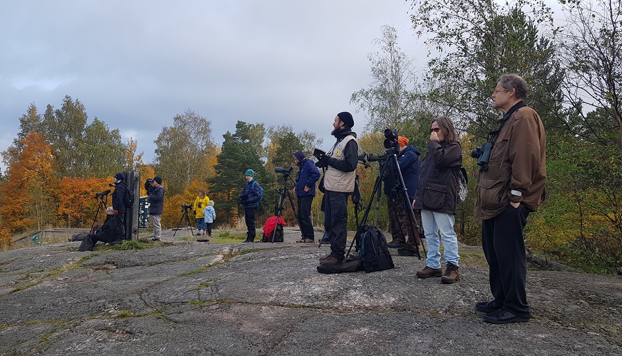 EuroBirdwatch-tapahtuma 2.10.2021, Helsinki, Herttoniemi. Kuva: Aki Arkiomaa