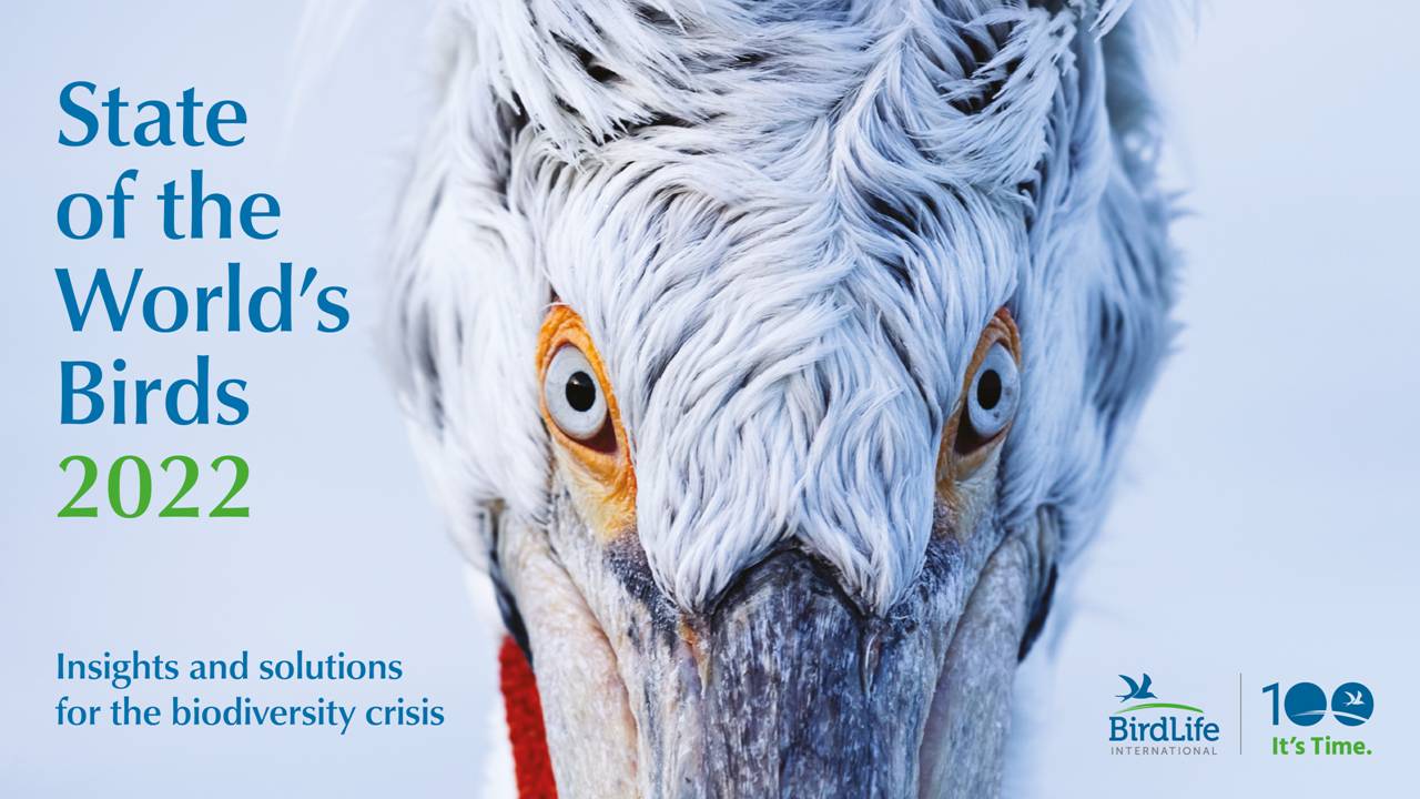 State of the World’s Birds 2022