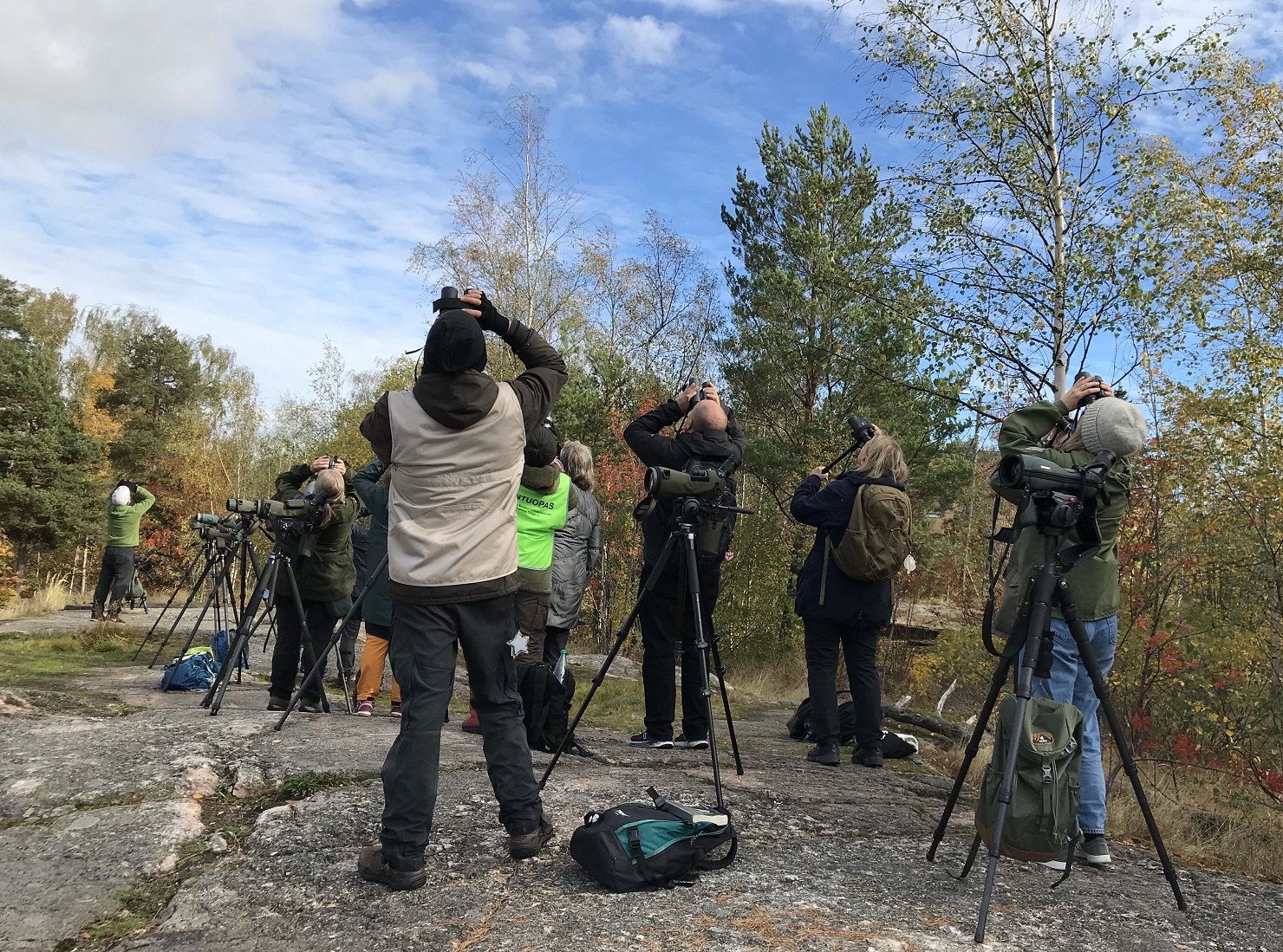 EuroBirdwatch, Helsinki 1.10.2022. Kuva: Jaana Sarvala