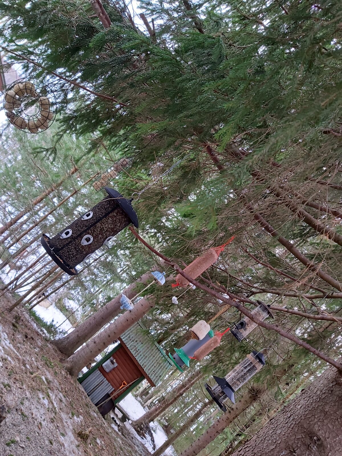 Tammikuu