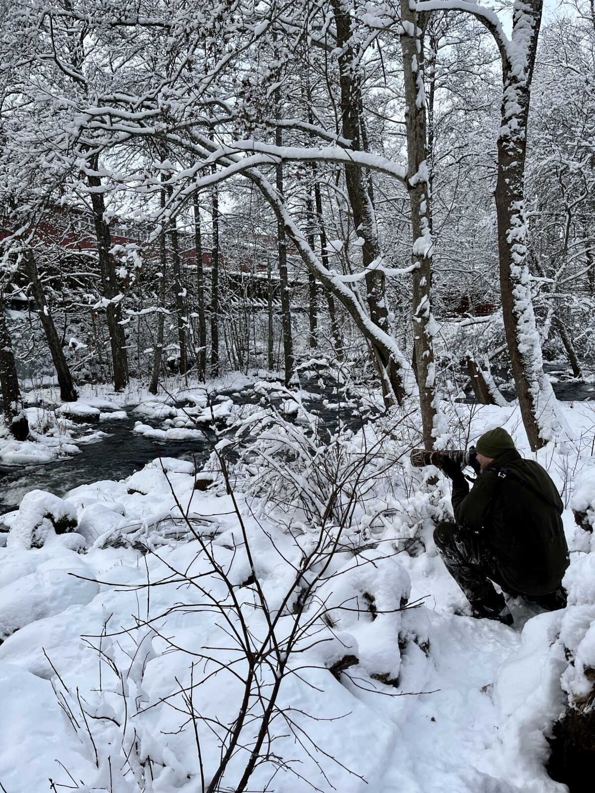 Tammikuu