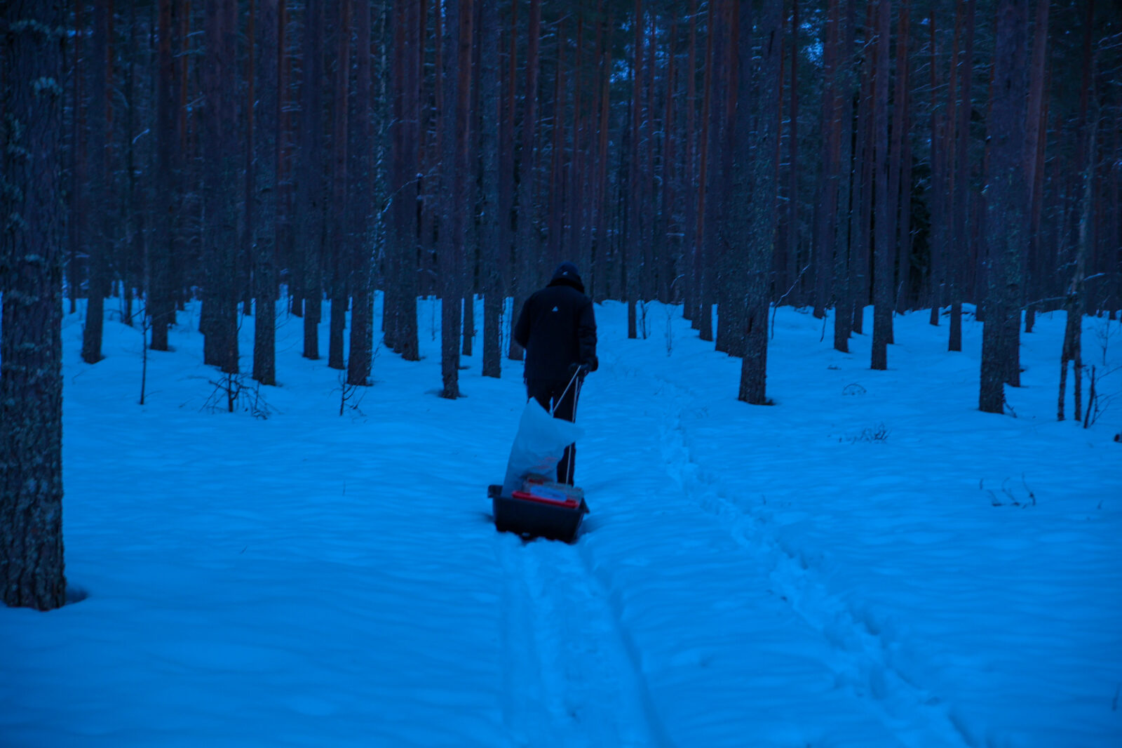 Tammikuu