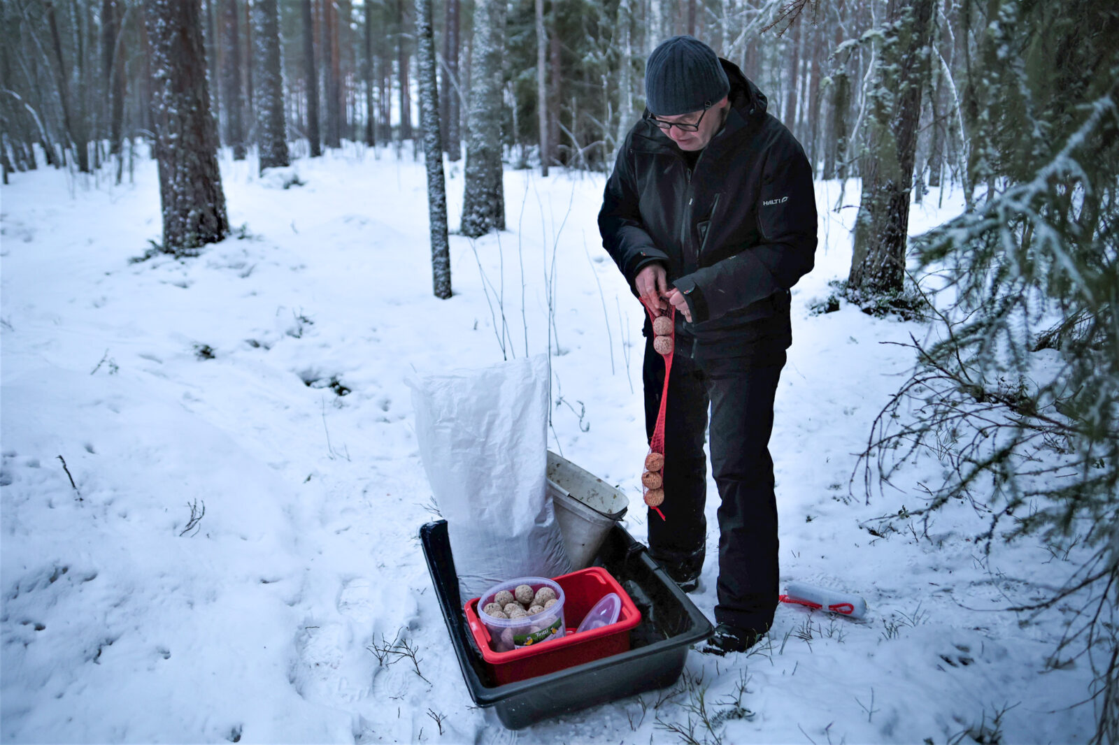 Tammikuu