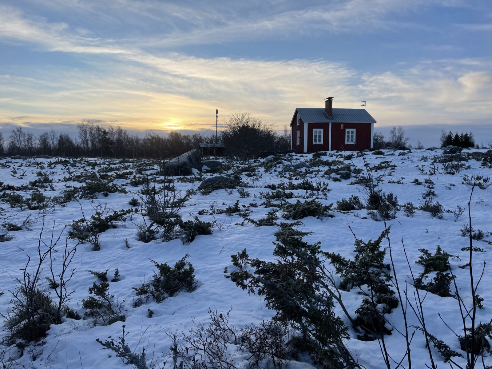 Tammikuu