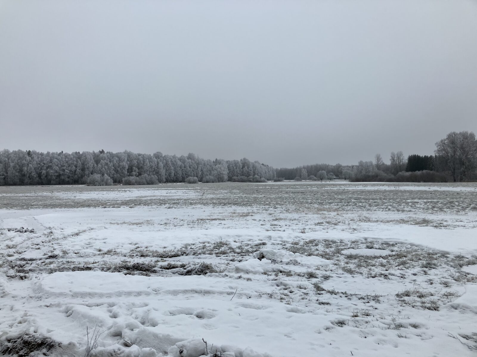 Tammikuu