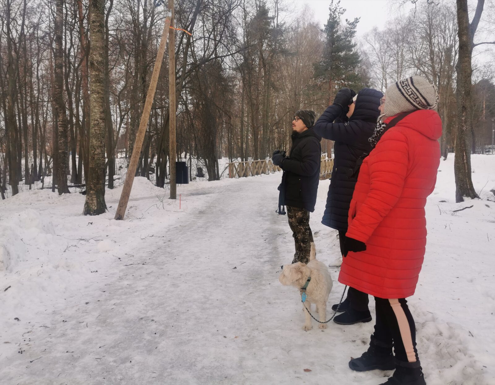 Tammikuu