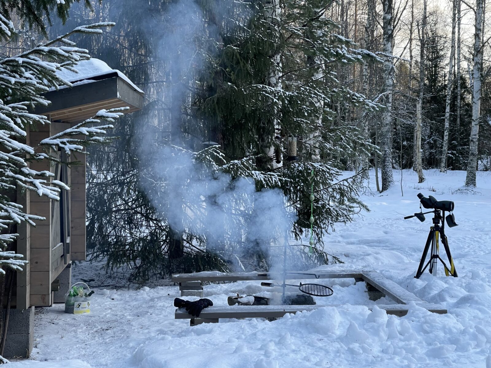Tammikuu