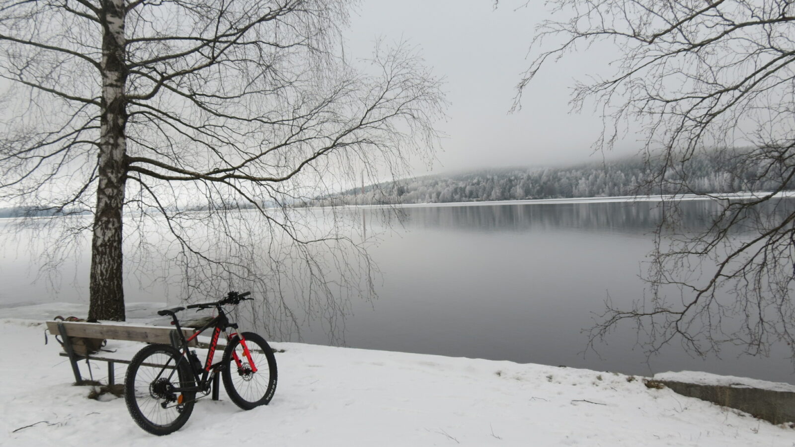 Tammikuu