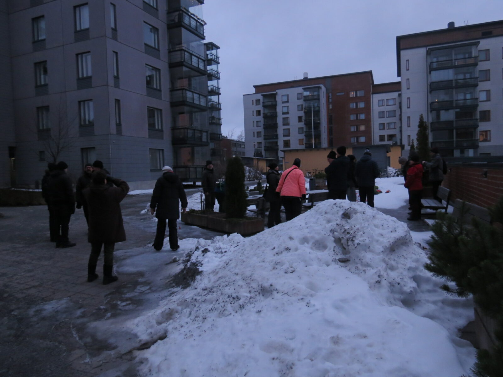 Tammikuu