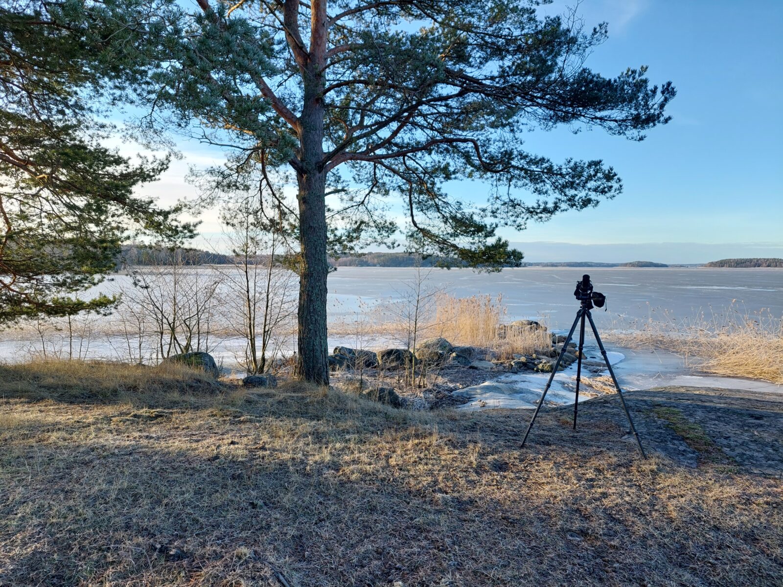Helmikuu