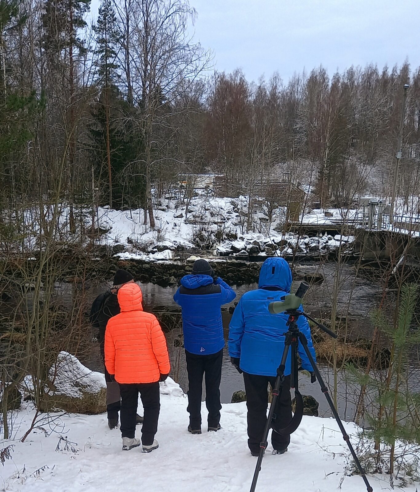 Helmikuu