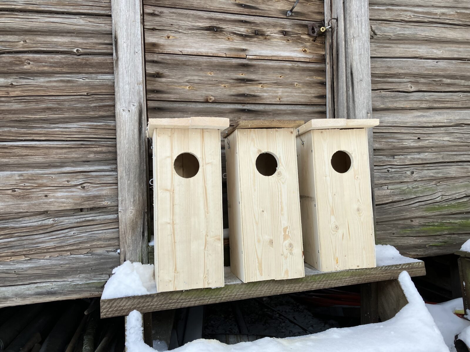 Helmikuu