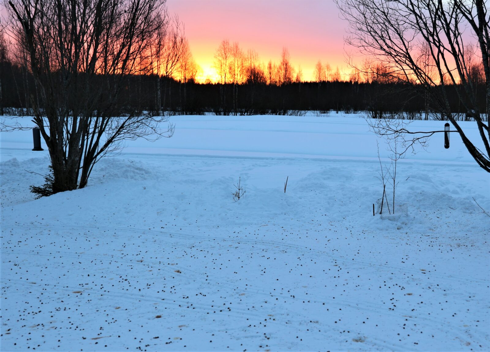 Maaliskuu