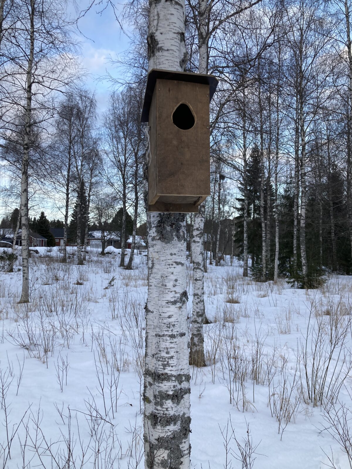 Maaliskuu