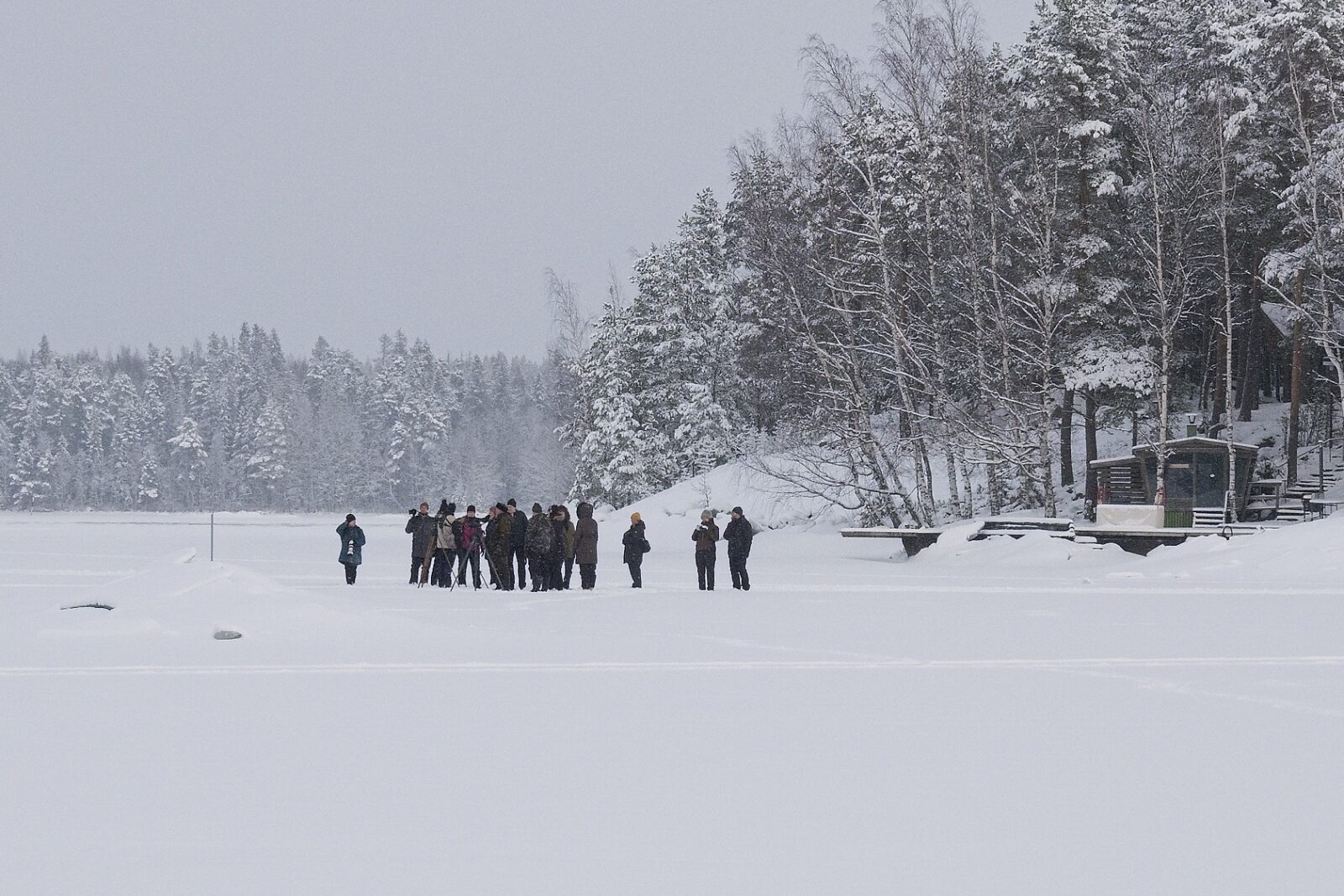 Helmikuu