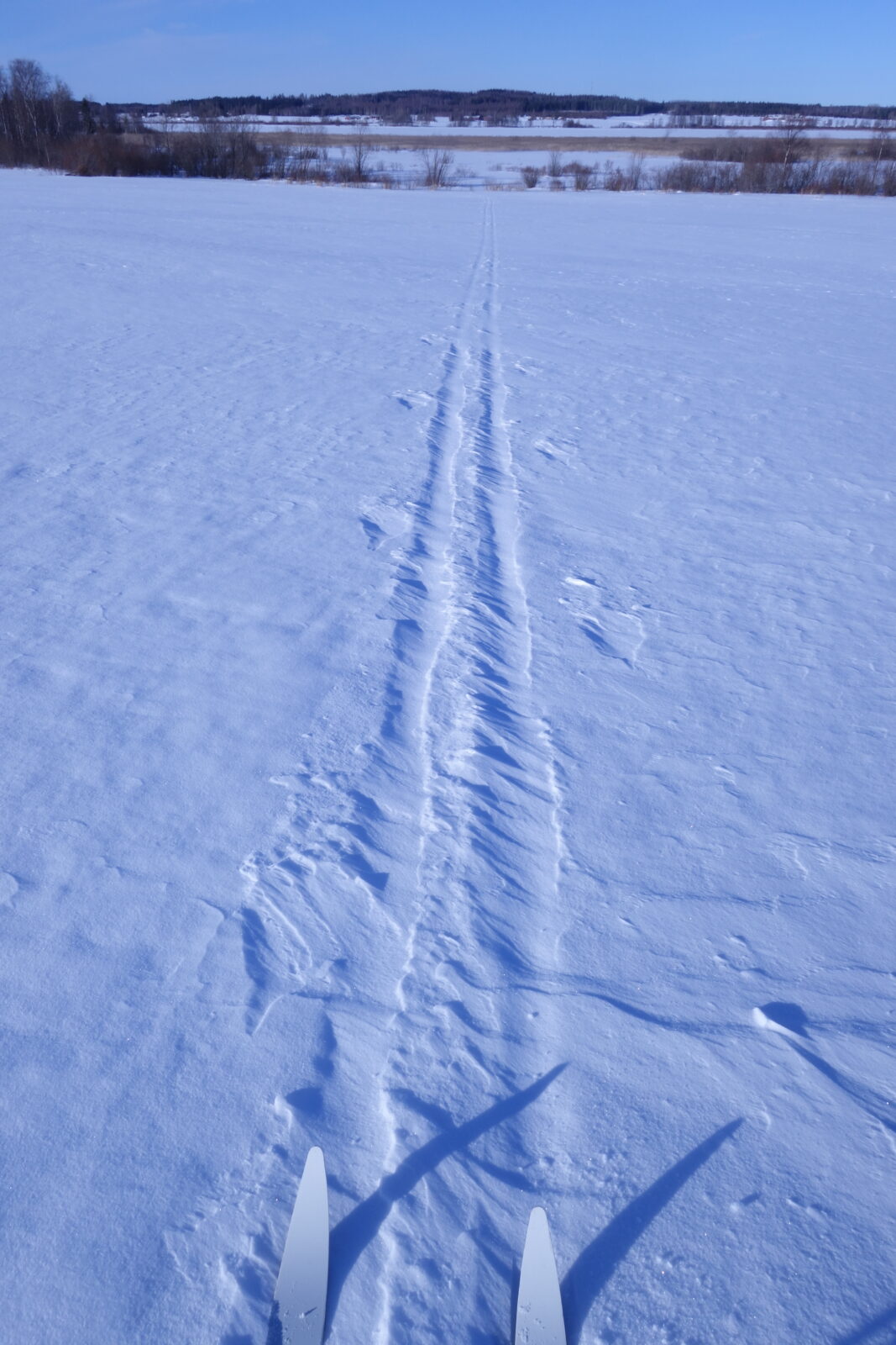 Maaliskuu