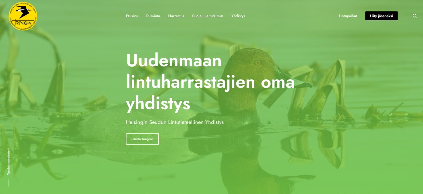 Tringa, kotisivu