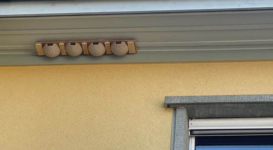 Räystäspääskyn tekopesät kannattaa asettaa ryhmiksi, sivuun ikkunoista ym. likaantumisaroista kohteista. Kuva: BirdLife Sveitsi.