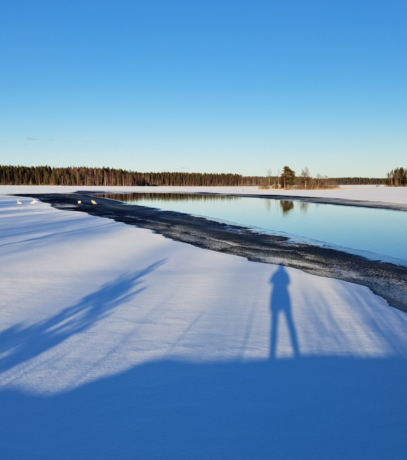 Maaliskuu
