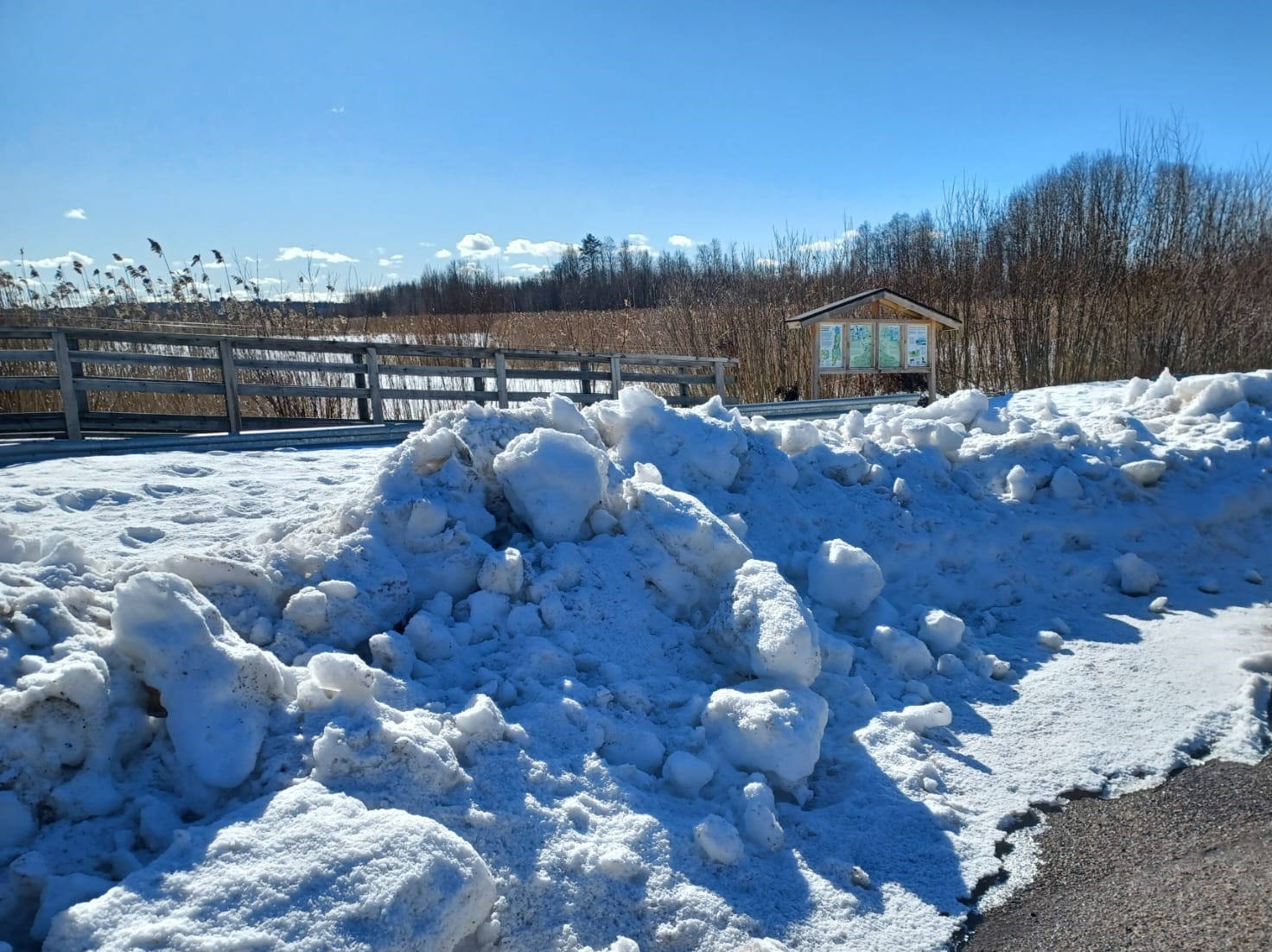 Maaliskuu