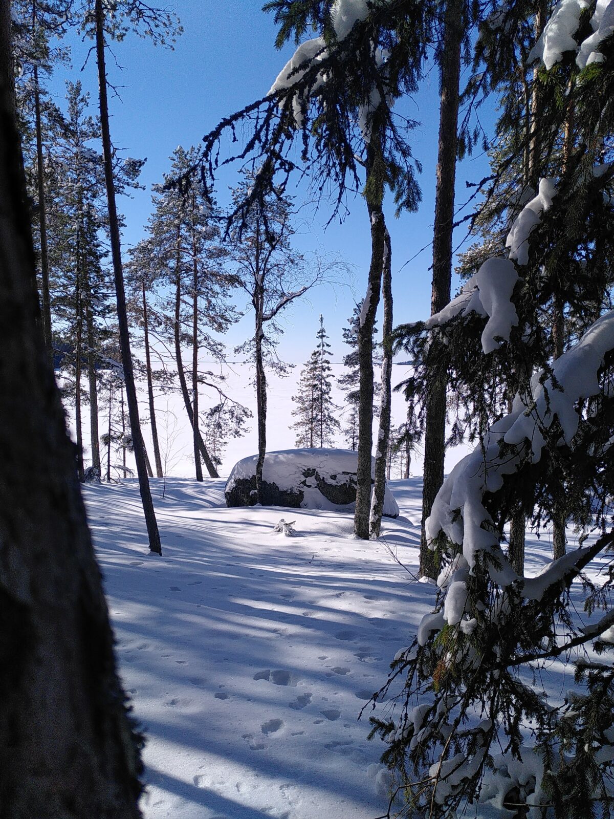 Maaliskuu