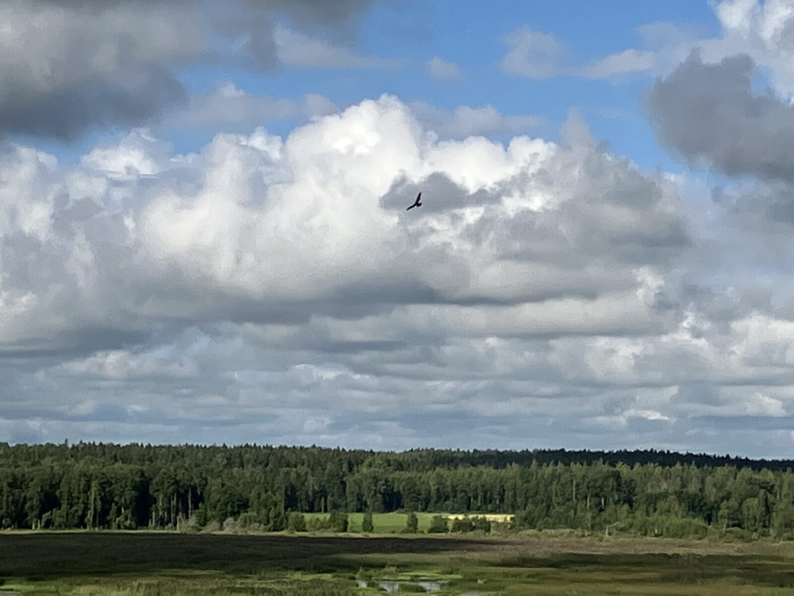 Heinäkuu