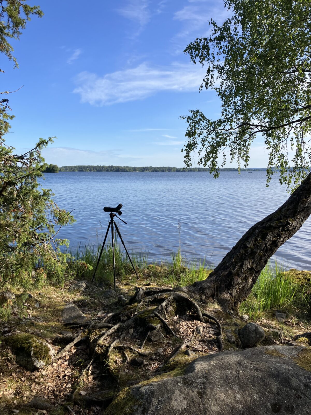 Heinäkuu