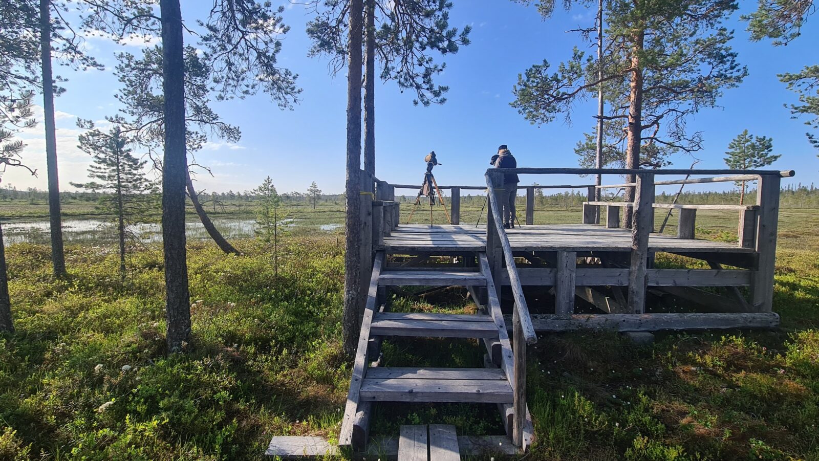 Kesäkuu
