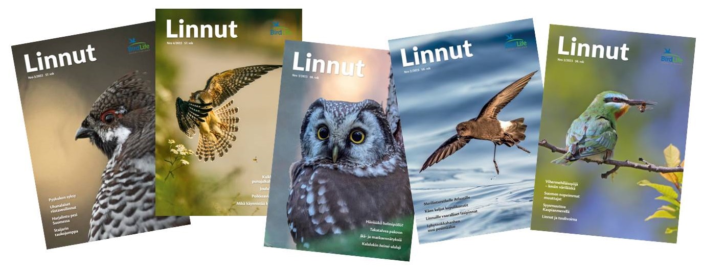 Linnut-lehden kannet 3/2022 - 3/2023