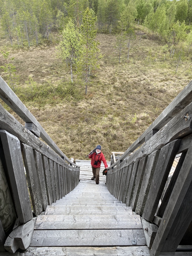 Kesäkuu