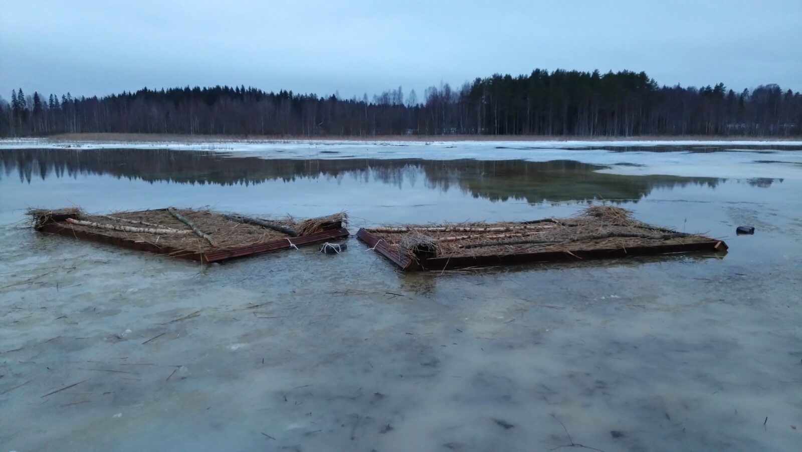 Maaliskuu