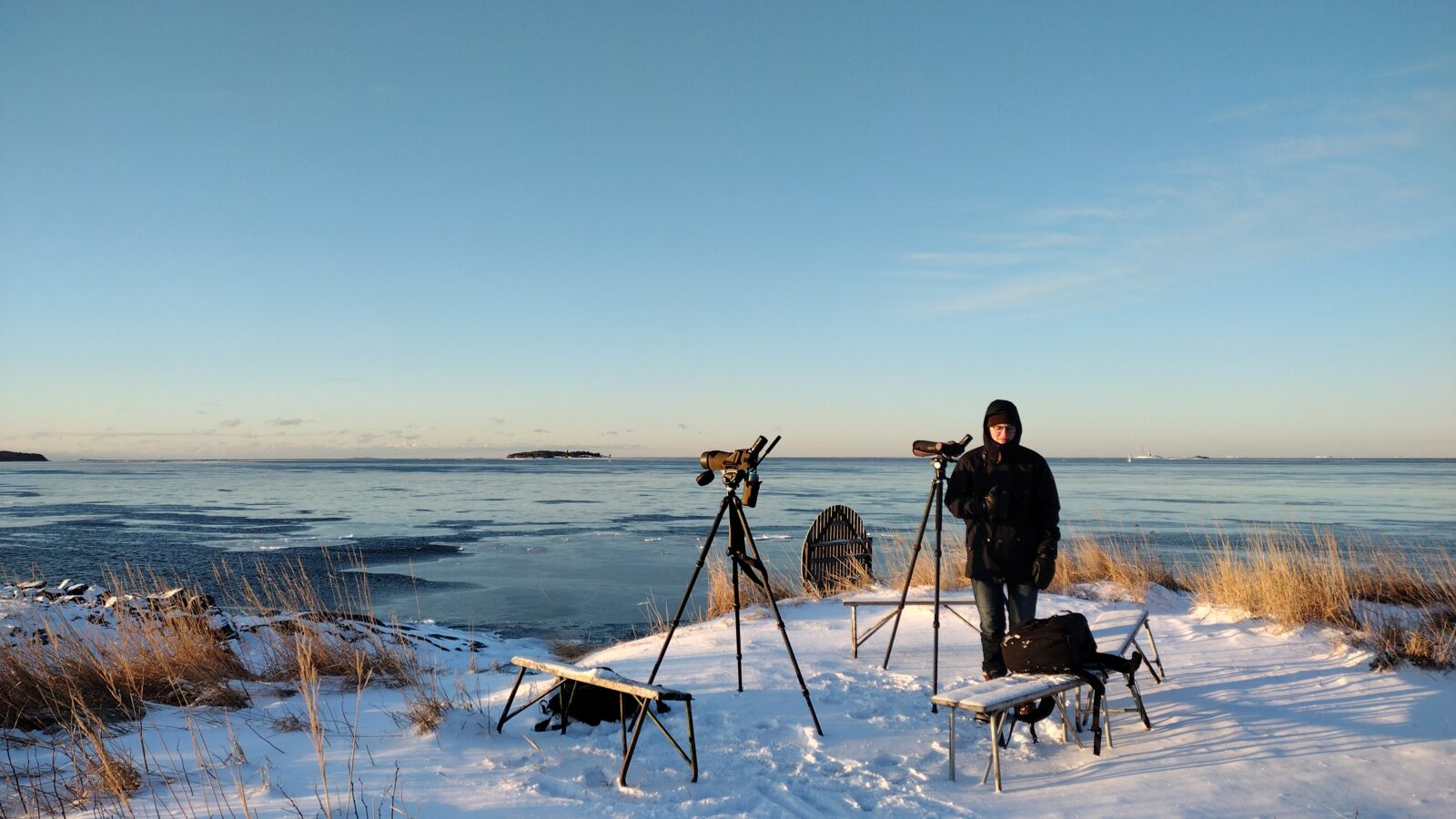 Maaliskuu
