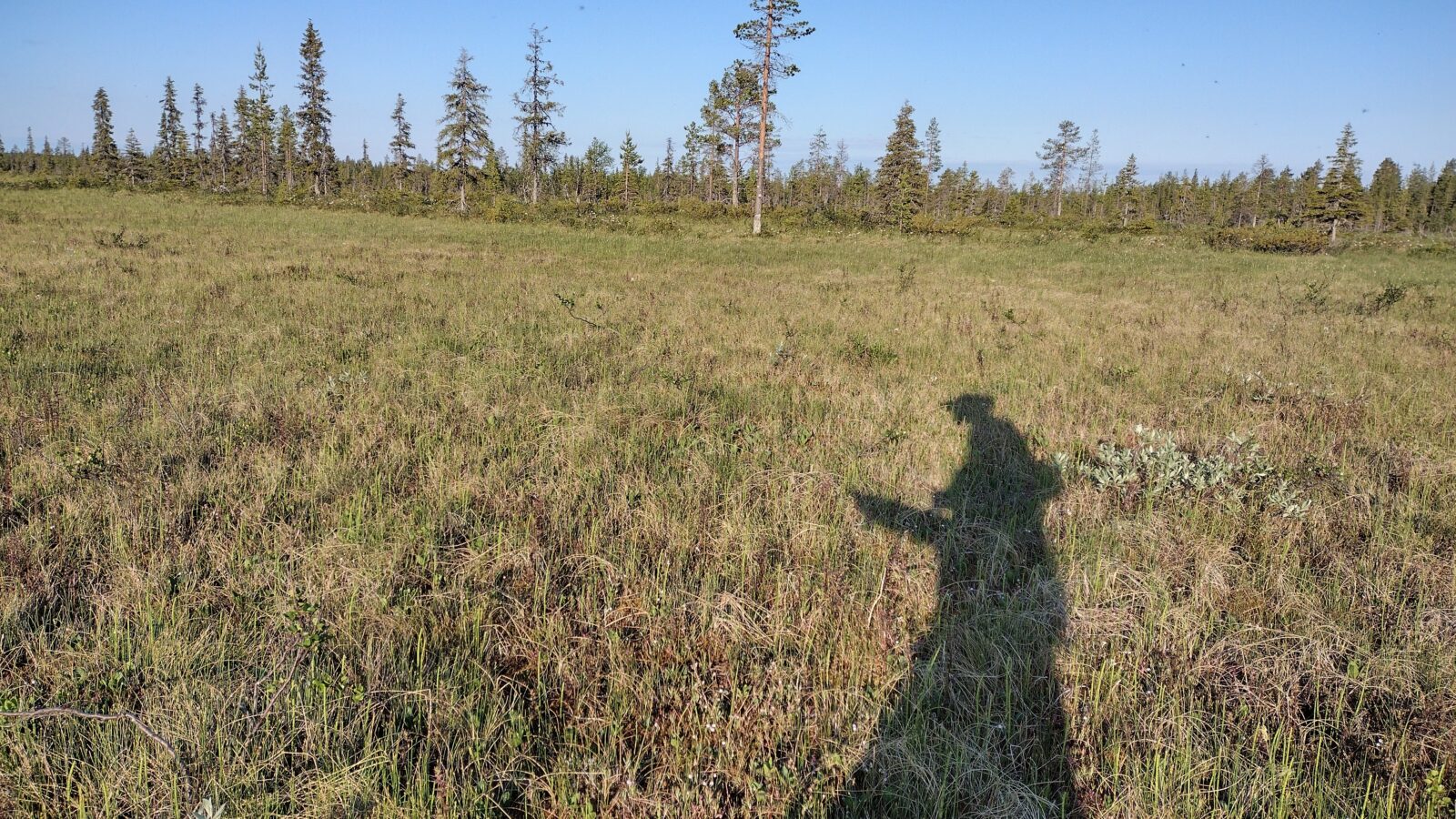 Kesäkuu