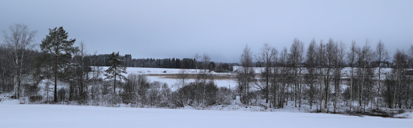 Tammikuu