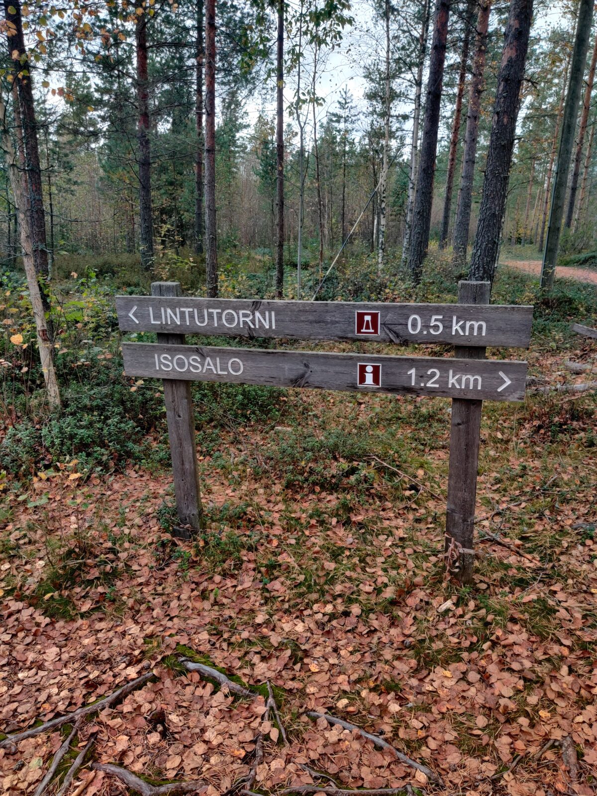 Syyskuu