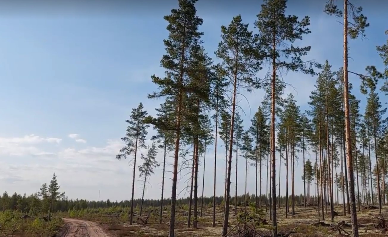 Kesäkuu