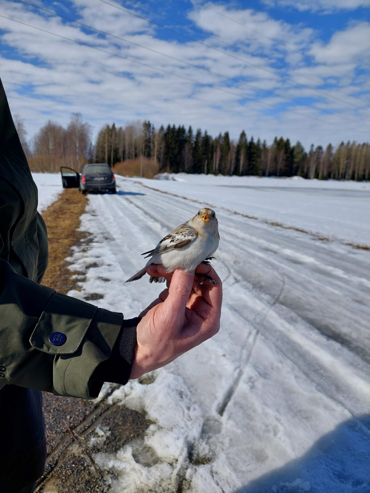 Huhtikuu