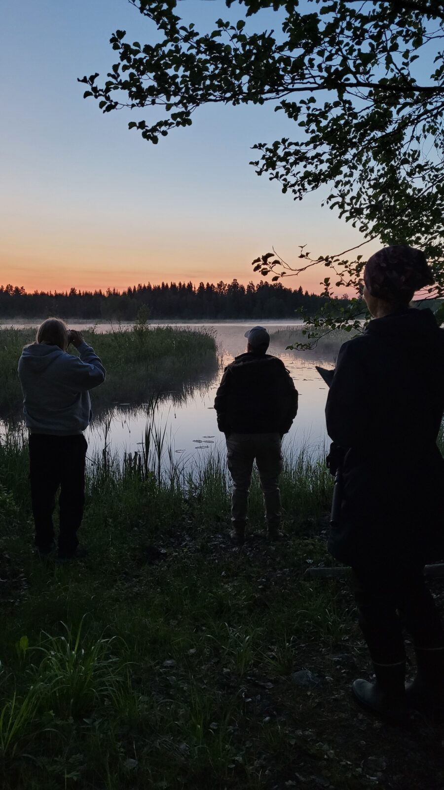 Kesäkuu
