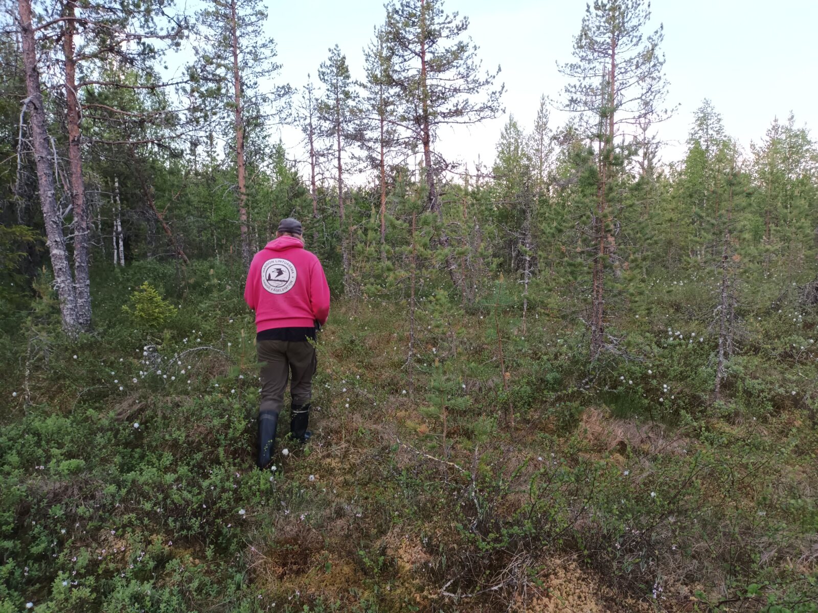Kesäkuu
