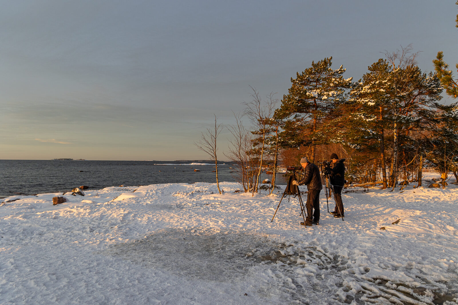 Helmikuu